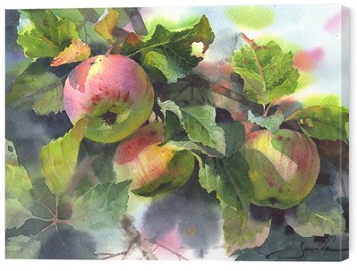 Картина на полотні Яблука 30х40 см ART-193-30x40-c фото