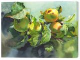 Картина на стіну у вітальню / спальню «Яблука на гілці» 30х40 см ART-164-482-30x40-c фото